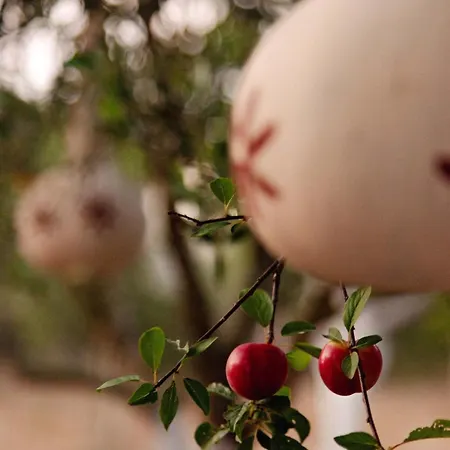 Appartement Al Mare Family