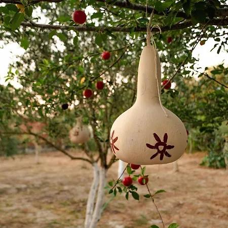 Al Mare Family Appartement