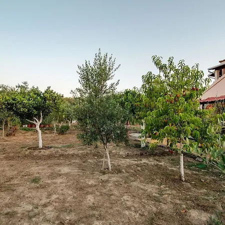 Daire Al Mare Family